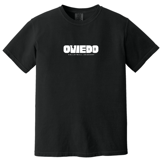 Comfort Colors T-Shirt - 2026 OVA