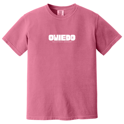 Comfort Colors T-Shirt - 2026 OVA